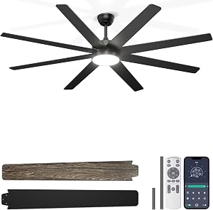 Phylluz 72'' Large Ceiling Fans with Lights, Modern Black Ceiling Fan Remote/APP Control, 